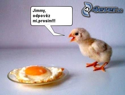 _obrazky_4ever_sk__smiesne__kura__surodenec_4290961